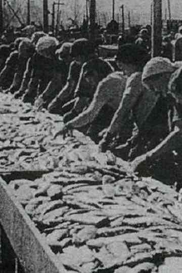 The Icelandic Herring Industry Poster