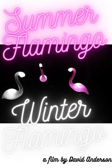 Summer Flamingo Winter Flamingo Poster