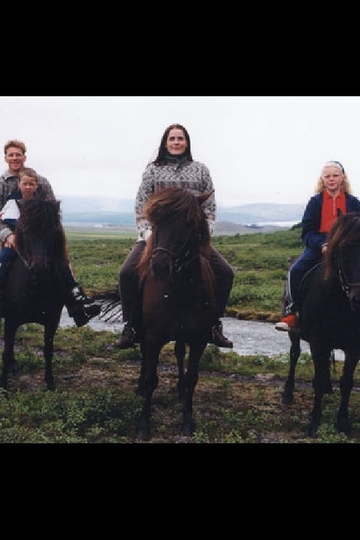 A Midsummer´s Journey - A view of Iceland