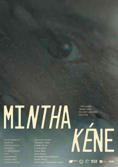 Mintha kéne Poster