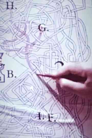 The Pink Biennal Poster