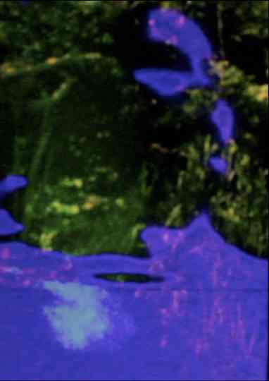 The Spine Folds Far Away Poster