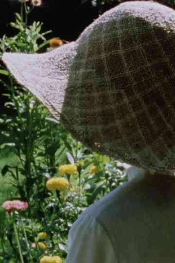 Silent Sonatas Poster