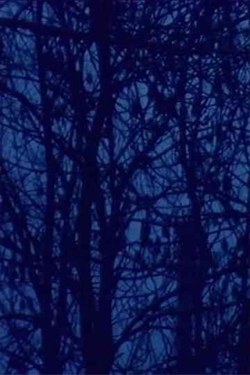 Il lago (soggettivo-oggettivo) Poster