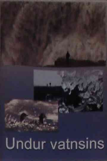 Wonders of Water Poster