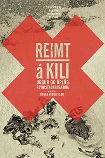 Haunted Trails: The Fate and Apprehension of the Reynistadurbrothers Poster