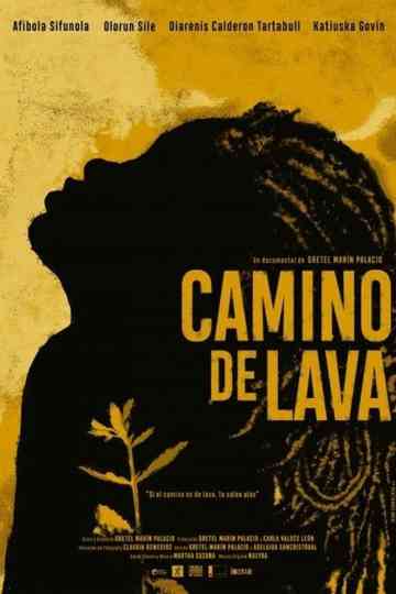 Camino de lava Poster