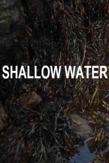 Shallow Water Poster