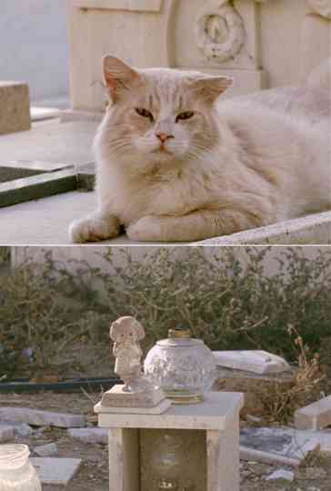 Sorry to See You Go Poster