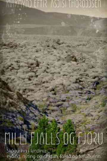 Woods Grew Here Once Poster