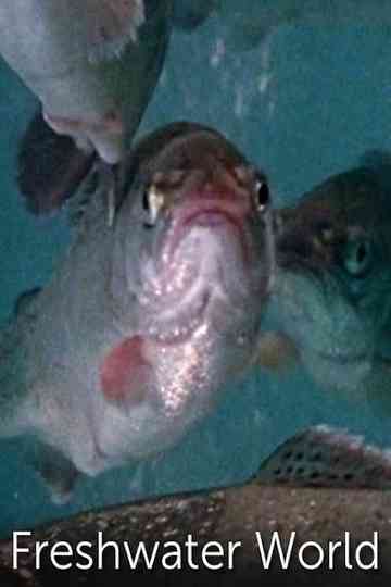 Freshwater World Poster