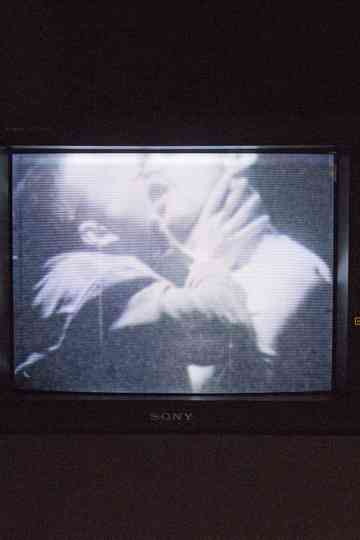 Let's Make Love and LIsten to Death from Above poster