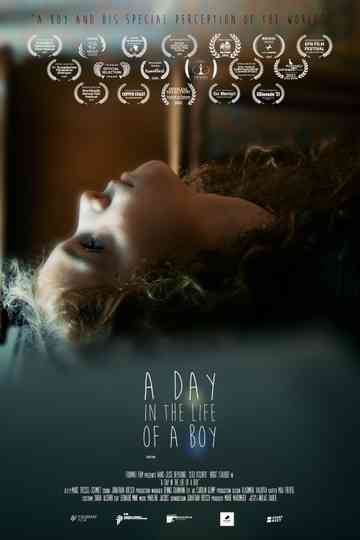 A Day in the Life of a Boy Poster