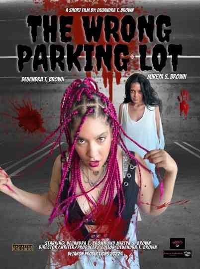 The Wrong Parking Lot Poster