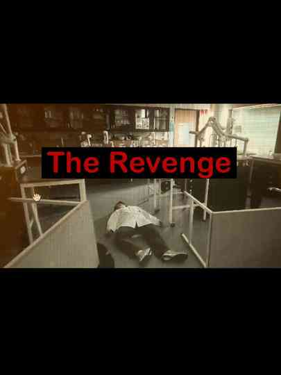 The Revenge poster