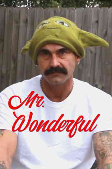 Mr. Wonderful Poster