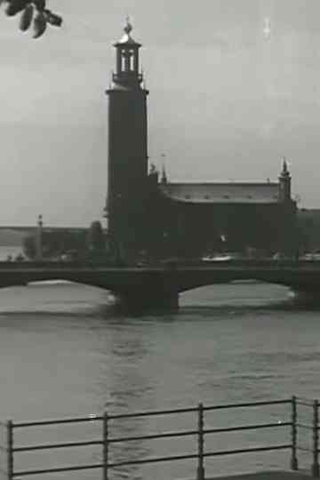 Venice of the North Poster