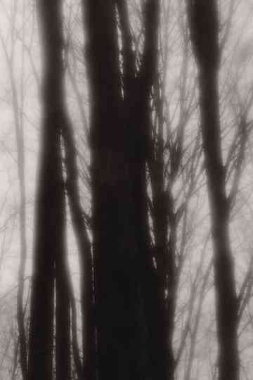 Eppur si muove Poster