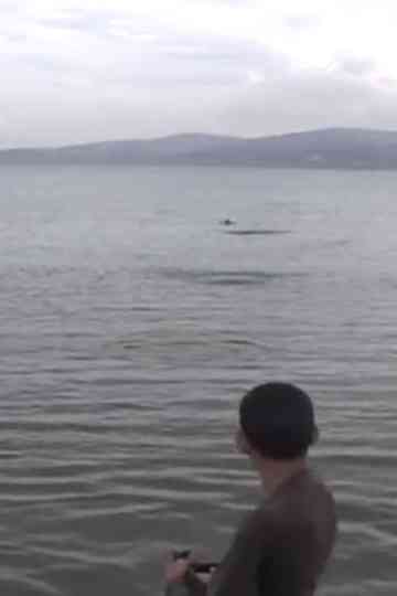 Children’s Game #2: Ricochets Poster