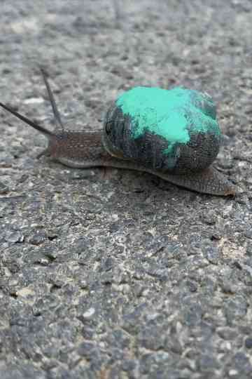 Children’s Game #31: Slakken Poster