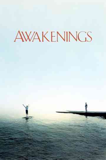 Awakenings poster