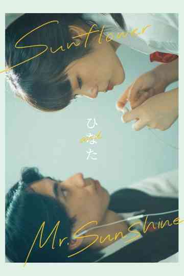 Sunflower&Mr.Sunshine Poster