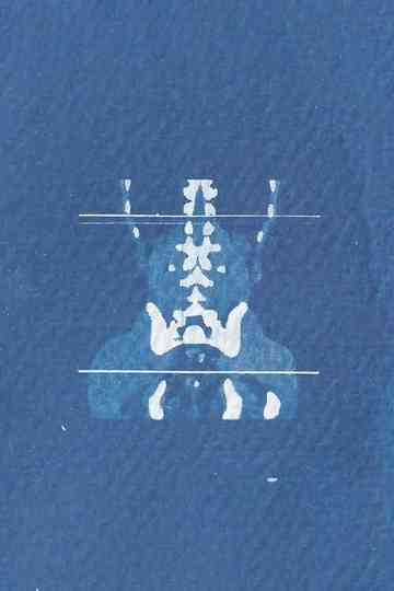 La próxima te acompaño Poster