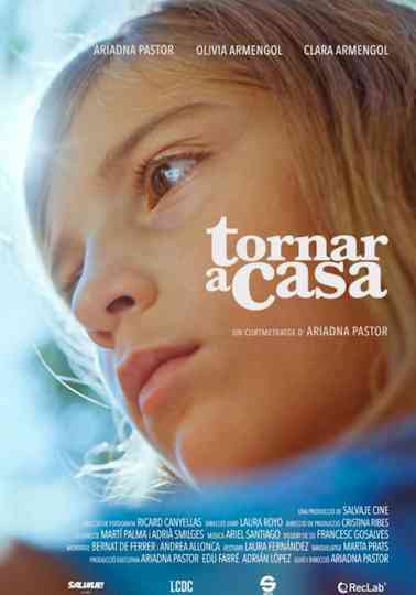 Tornar a casa poster