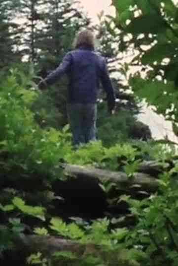 Beautiful Lennard Island Poster