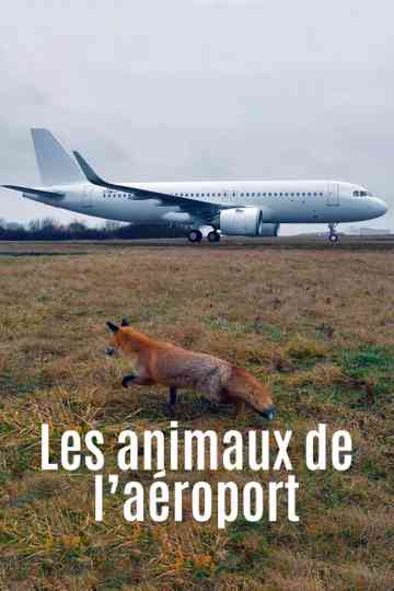 Airport Animal Stories Poster