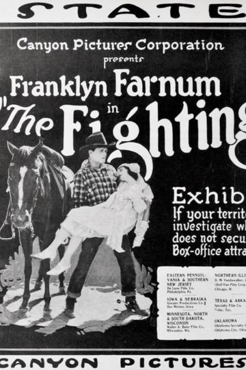 The Fighting Stranger