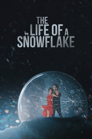 The Life of a Snowflake Poster