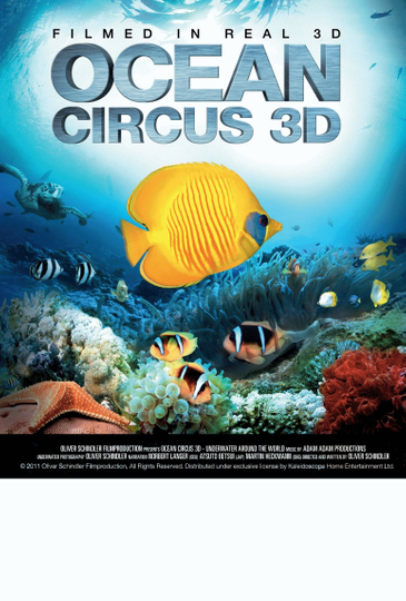 Ocean Circus 3D  Underwater Around the World Poster