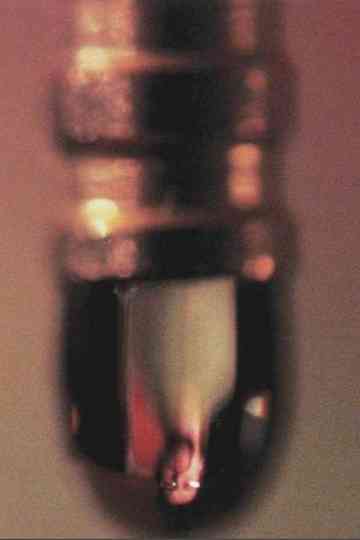 He Weeps for You Poster