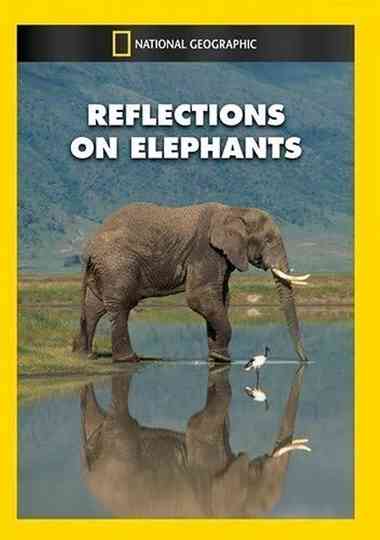 Reflections on Elephants Poster