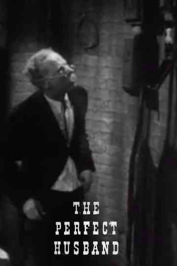 The Perfect Husband Poster