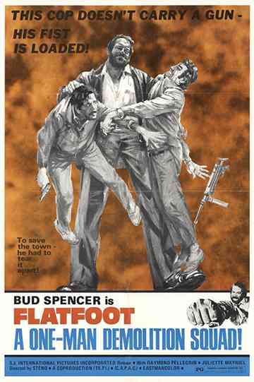 The Knock Out Cop poster