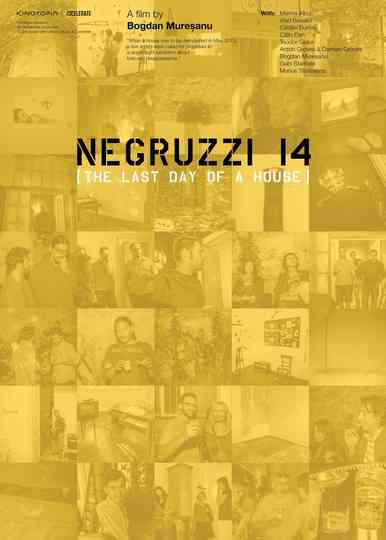 Negruzzi 14 Poster