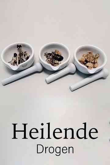 Drugs that Heal: Could Psychedelics Treat Depression? Poster