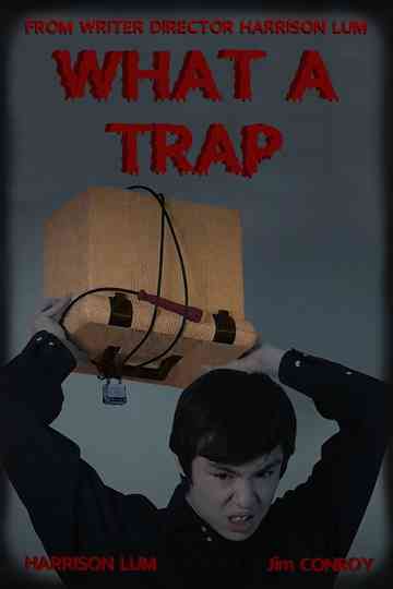 What A Trap Poster