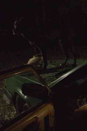 Nothing Runs Like a Deere Poster