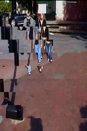 A Walk With You Poster