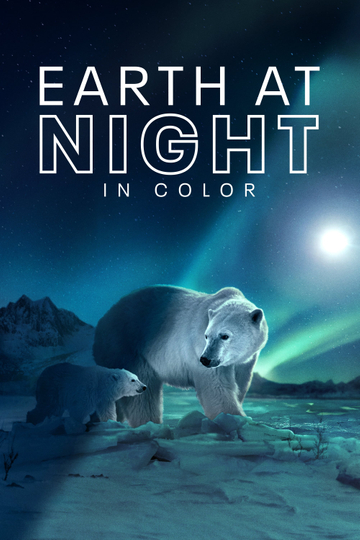 Earth at Night in Color