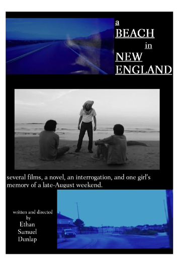 A Beach in New England Poster