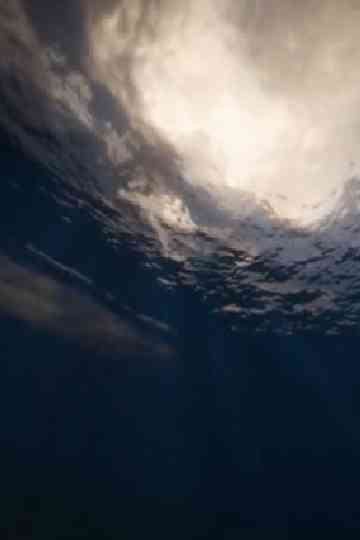 By This River Poster