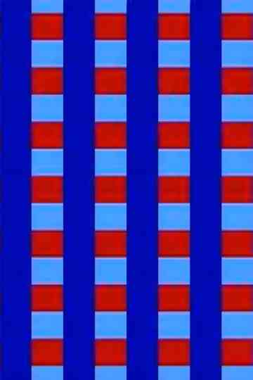 Video Ravingz Poster