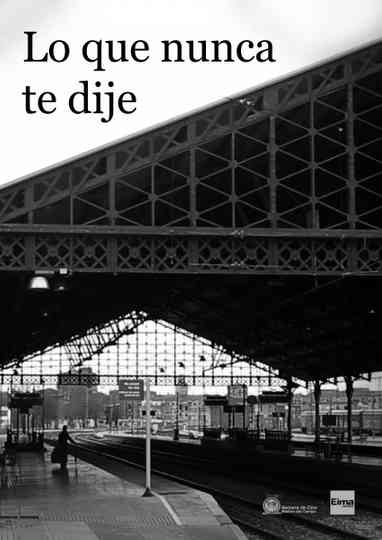 Lo que nunca te dije Poster