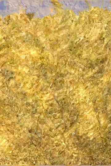 2668-3357 (or, granite, gneiss, glace) Poster