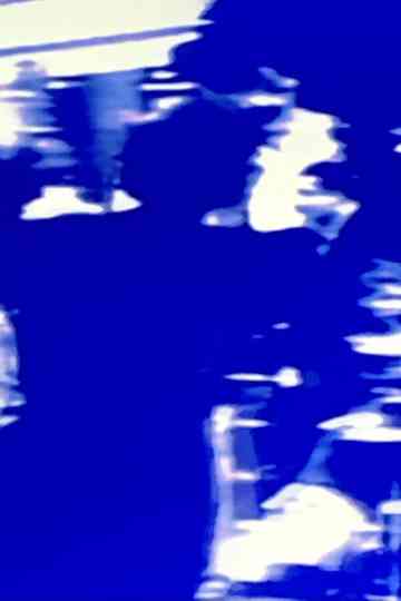 The Blue Fall Poster