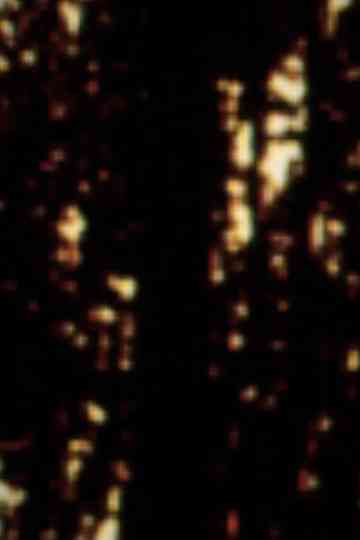 GIALLO (CANICULE) Poster